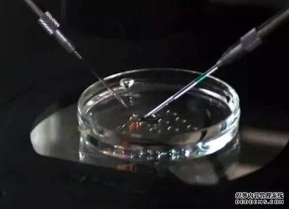 玉林市妇幼保健院试管婴儿技术怎么样？成功率多少？