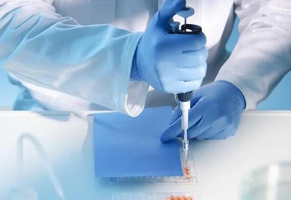 广东 第三代试管 广东供卵试管生殖中心排名： ‘营口伊人26周四维看男女准么’