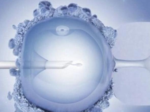 济南供卵试管 济南齐鲁医院试管婴儿怎么样？在这里做试管婴儿好不好？ ‘孕囊三个数据看男孩女孩依据’