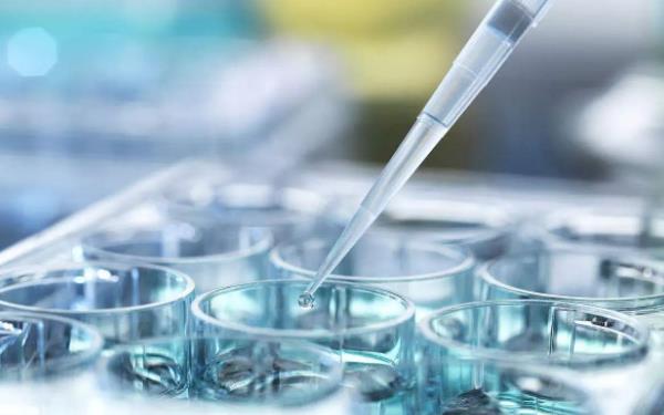 聊城供卵试管 聊城二院试管婴儿全下来多少钱? ‘中晚孕期b超单如何看是女儿还是儿子’