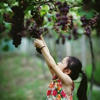 试管为啥第一次成功概率不高？(试管婴儿一次性成功率有多高)