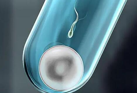 三代试管大连 大连妇女儿童医疗中心供精试管婴儿成功率 ‘营口伊人26周四维看男女准么’