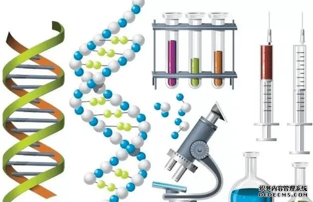 试管移植要保胎多久视女性身体恢复情况而定