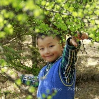 湖南湘雅 试管 湖南试管医院排名前10名新鲜出炉，两大湘雅均在榜 ‘31x14x14孕囊男孩女孩’