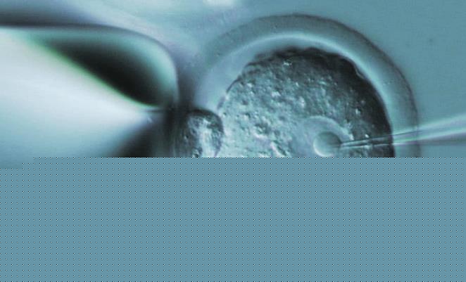 试管婴儿胚胎移植后生化与不着床哪个情况好？