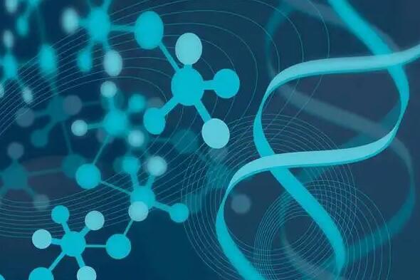 台州供卵试管 高龄在台州医院做试管婴儿的成功率能有多少？ ‘四维彩超女孩翻盘实例’