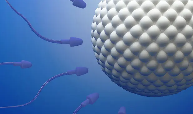 上海集爱遗传与不育诊疗中心试管成功率 上海集爱试管婴儿费用 ‘37周b超女孩生了男孩’