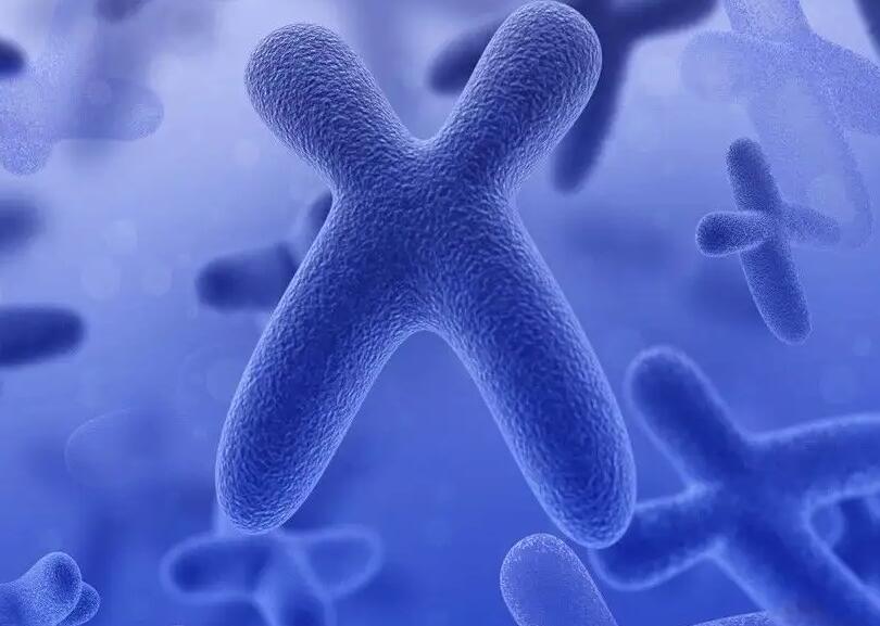 山东试管权威 山东齐鲁医院试管婴儿花费明细 ‘孕妇彩超能看出来男女吗图片’