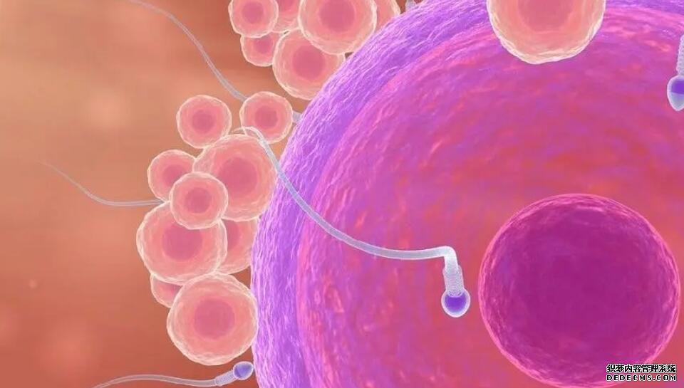 东莞市康华医院可以做试管吗 东莞哪里做试管成功率高? ‘四维两条白线加凹槽女孩吗’