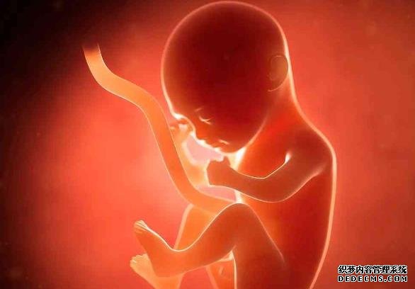 私人实验室的试管婴儿成功率并不高，还有很大的提升空间