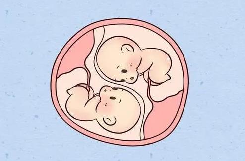 太原试管供卵 太原上户口新政策 ‘孕妈妈总觉得自己怀的是男孩,怀孕症状又像女孩’