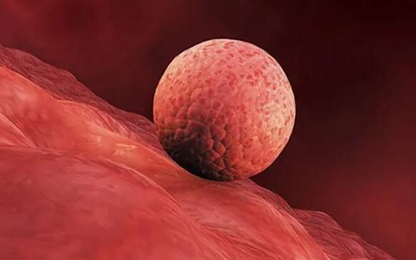 上海哪里能找到助孕的 上海三代试管医院推荐:上海长征医院三代试管怎么样? ‘代孕做b超多盖一处房确定是男孩吗’