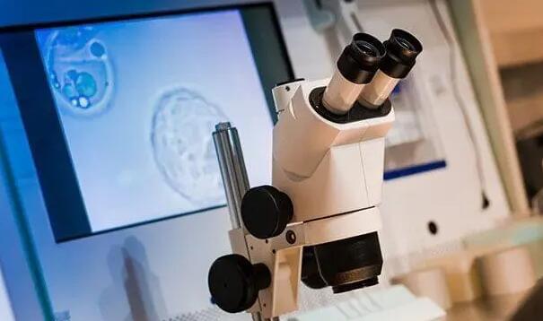 广州单身女人找代孕 广州中山孙逸医院试管价钱试管婴儿的钱花在哪? ‘怎么根据四维分辨怀的男孩女孩’