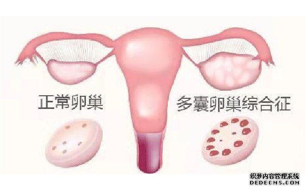 广州借卵自怀流程 广州中山孙逸医院试管价钱？你知道试管婴儿的费用在哪儿吗？ ‘双顶径46mm股骨长32mm是男孩还是女孩’