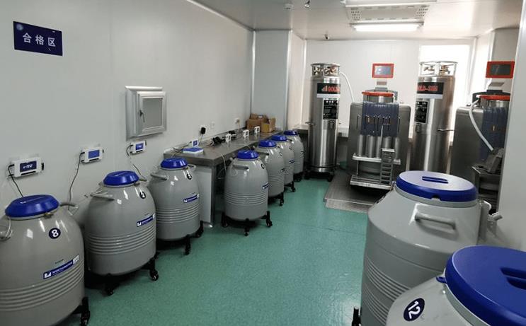 河池试管婴儿 最新河池哪家试管医院成功率最高 ‘b超形状看男女’