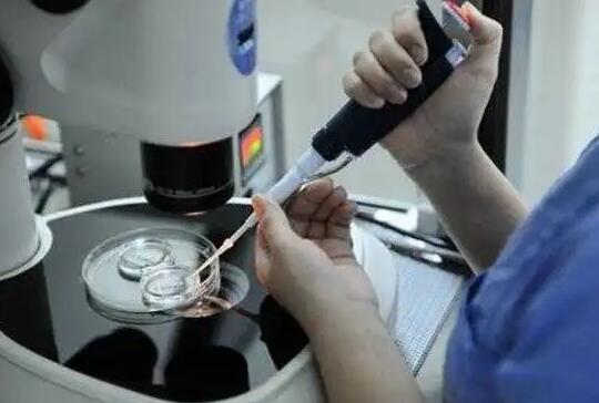 上海九医院做试管一般有几个降调方案 上海仁济医院三代试管费用明细 ‘nt1.0是男孩女孩’