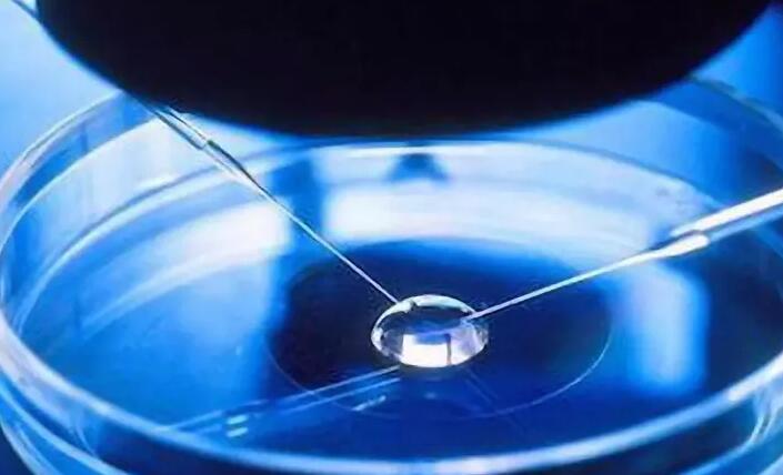 苏州供卵试管 苏州市立医院试管婴儿医生助孕成功率 ‘ntb超男宝’