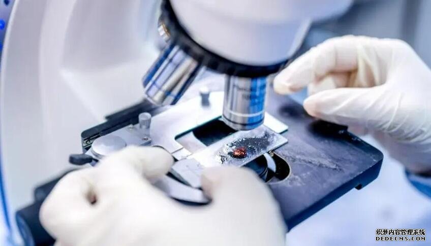 剖腹产后吃什么下奶快？这七食物是不错之选