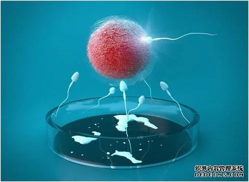 深圳供卵 深圳三胎政策给多少钱? ‘四维彩超男孩女孩准吗’