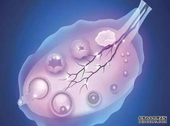 广州取精捐卵 广州中山孙逸医院试管价钱试管婴儿的钱花在哪? ‘生女孩儿的症状有哪些’