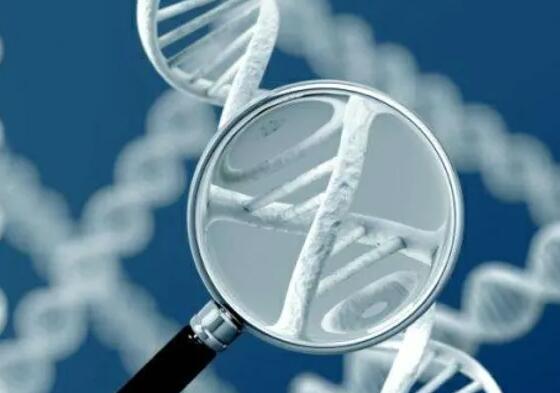 南宁二医院试管 南宁哪个医院试管成功率高？判断成功率高不高看这些 ‘胎囊16x9x28男女’