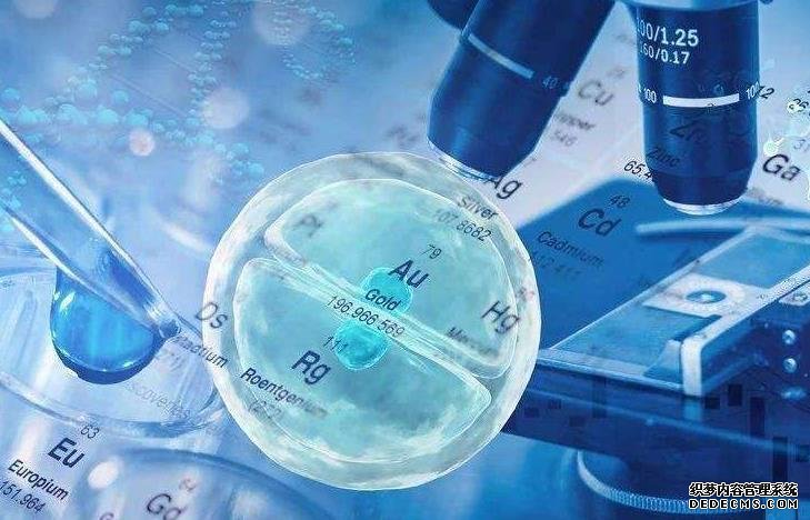 移植后多吃这些水果，让你的胚胎着床更顺利