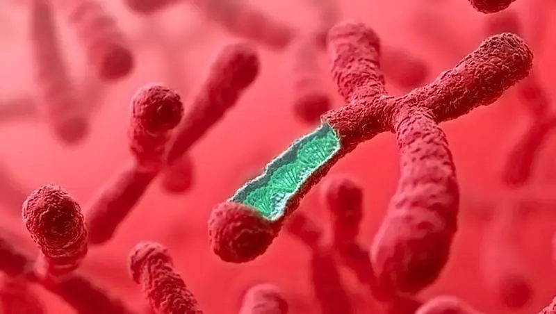 河南省试管三代 2023郑州供卵试管婴儿包生男孩15万够吗?附2023河南供卵试管费用一览 ‘孕妇初期梦到小女孩还有鱼是什么征兆’