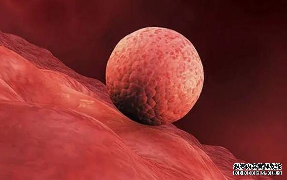 2022福建助孕 福建妇幼保健院供精试管婴儿流程： ‘b超三次女孩总感觉是男孩’