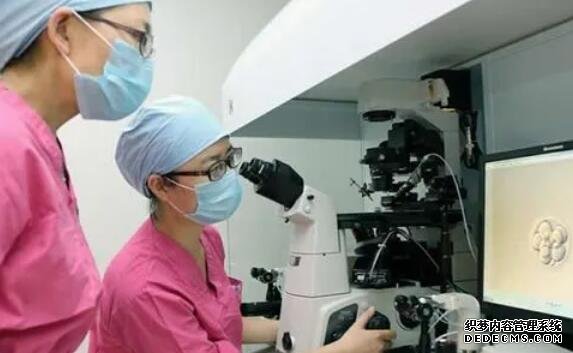 哈尔滨供精群 你能在哈尔滨医科大学医院选择试管方案吗？ ‘孕囊三个数据4.933.912.08是男孩吗?’
