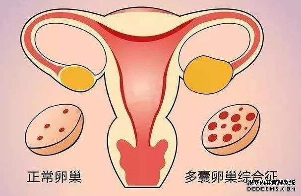 德州市人民医院做试管婴儿前期检查费用要多少?-德州市人民医院