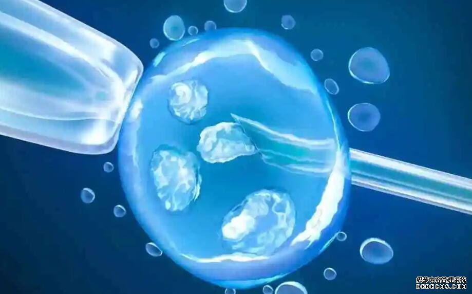 试管婴儿期间能吃冷水果吗,试管移植前需要注意什么