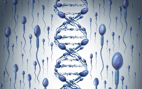泰国二代试管价格多少钱_第二代试管婴儿费用