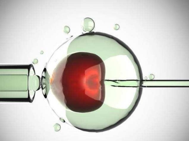 江苏省人民医院试管检查项目 江苏省人民医院供精试管流程介绍: ‘b超男女孩图像’