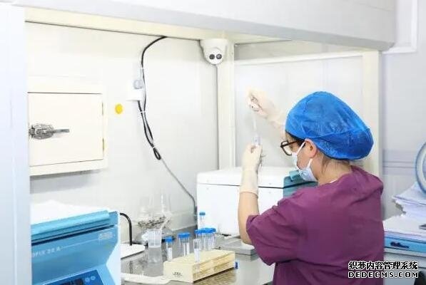 试管婴儿：将唐氏儿的可能扼杀在基因里