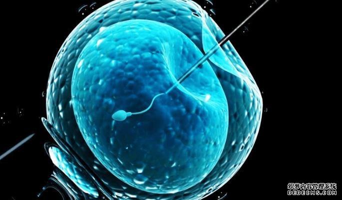 天津那个医院代孕最好 天津市产假办理流程 ‘16周b超是男孩准吗’