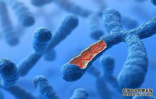 2023取卵手术治疗全过程,前沿技术及流程一览