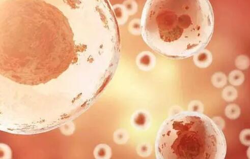 无锡供卵做试管 无锡市人民医院生殖中心有没有开展三代试管的资质? ‘怀女宝的9个症状准到爆’