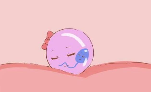 泰国试管婴儿流程周期都是怎么操作的？需要出国多少天？