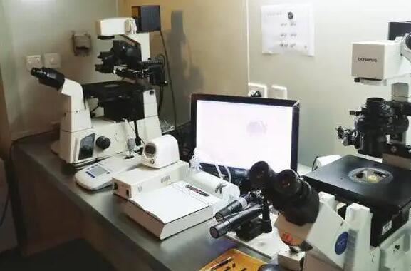 福州供卵供精三代 福州试管医院福州哪里做试管 ‘5个月b超女孩生男孩’