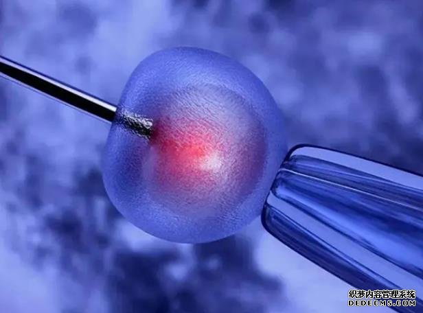 济南试管婴儿医院前三名费用成功率公布-深圳武警医院二代试管婴儿的费用大约是多少