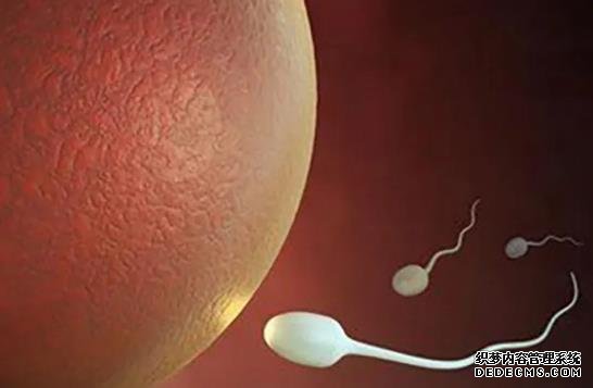 吃完紫薯千万别碰5种食物,再馋都要管住嘴