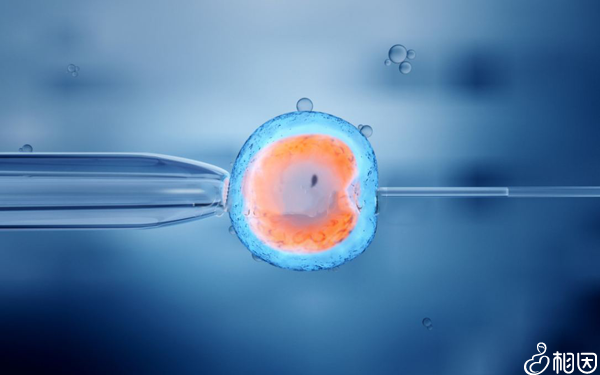 试管婴儿移植手术也是非常关键的