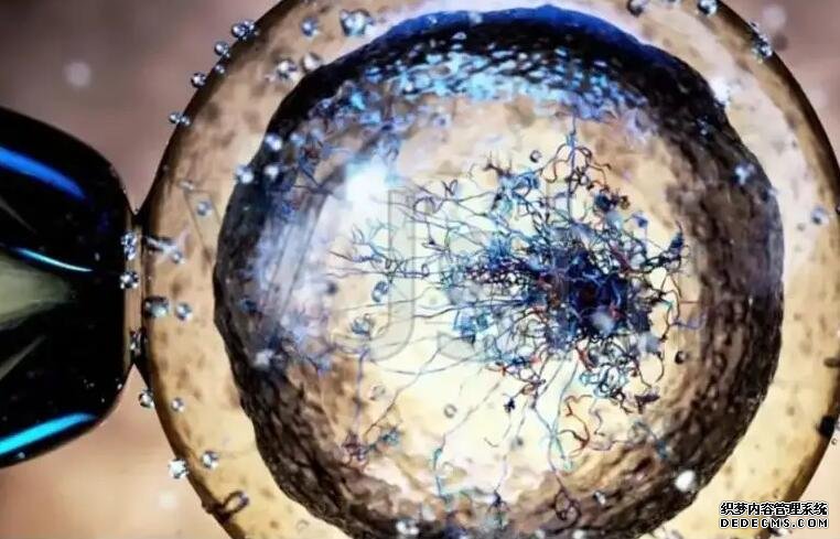 龙婴助孕网_什么叫第三方助孕_夫妻花2.2万找“专家”做试管婴儿生男孩，之后的事令人傻眼！