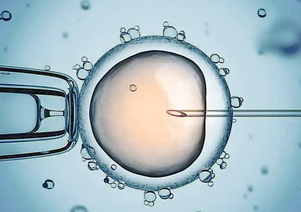 1692339562706178.png F4723519-BA97-456f-BC6D-D169F53C4B02.png