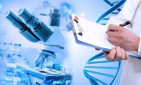 1692598496887823.png 12.png