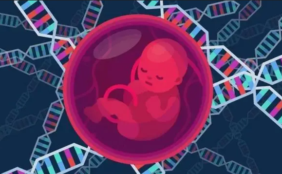 1692687136342449.png 114.png