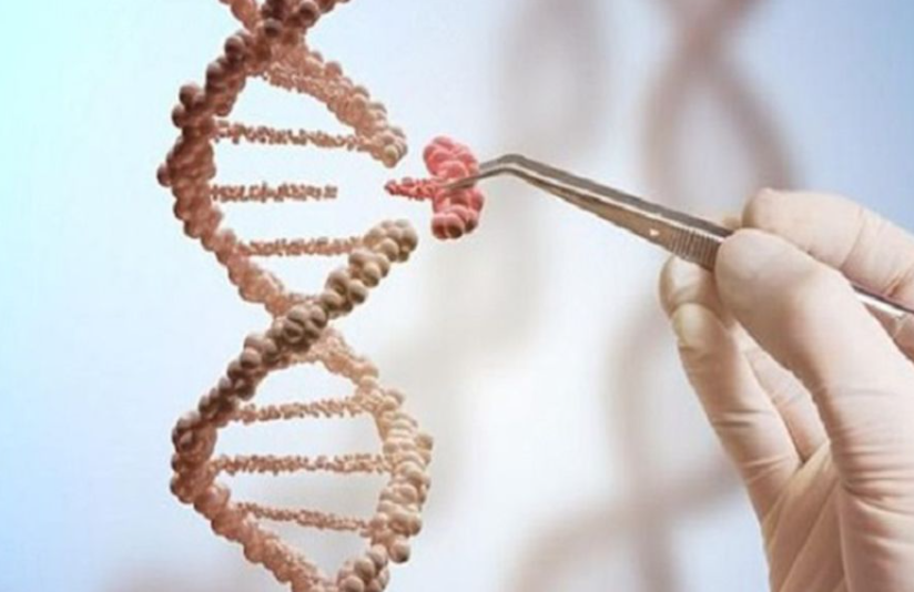 1692774287875600.png 1692774287875600.png