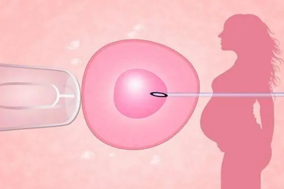 1692863780225615.png 43.png