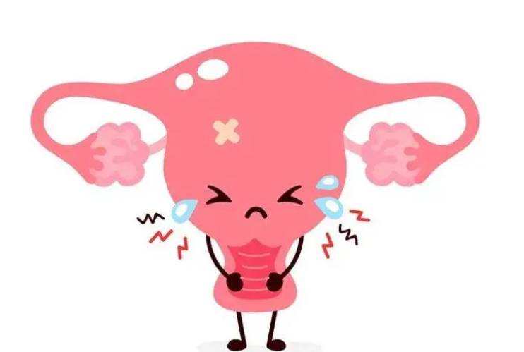 1692864717443069.png 1692864717443069.png