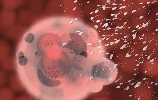 1692945388501738.png 22.png